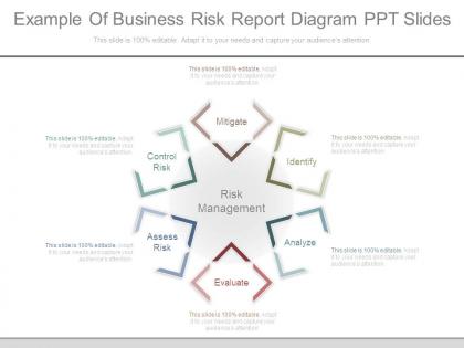 Example of business risk report diagram ppt slides