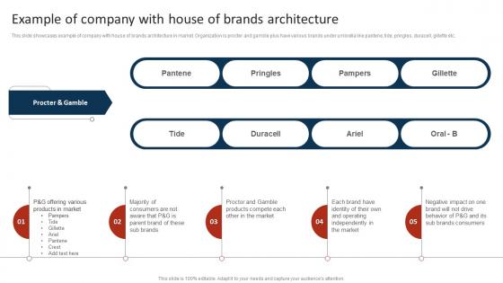 Example Of Company With House Of Brands Architecture Marketing Strategy To Promote Multiple