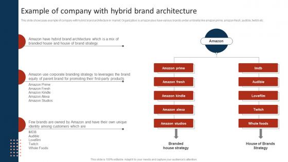 Example Of Company With Hybrid Brand Architecture Marketing Strategy To Promote Multiple