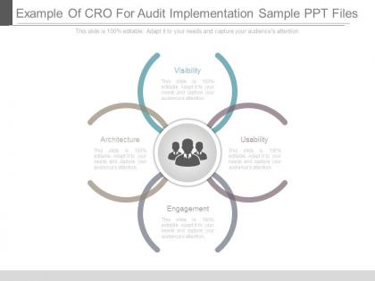Example of cro for audit implementation sample ppt files