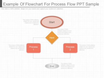 Example of flowchart for process flow ppt sample