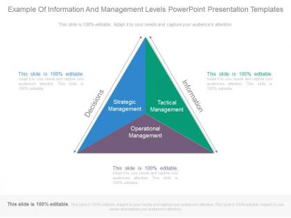 Example of information and management levels powerpoint presentation templates
