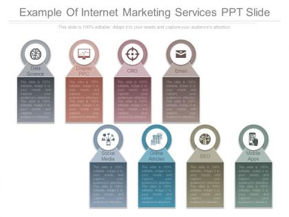 Example of internet marketing services ppt slide