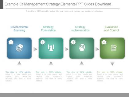 Example of management strategy elements ppt slides download