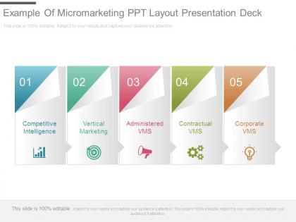 Example of micromarketing ppt layout presentation deck