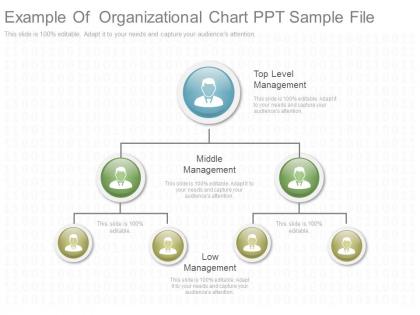 Example of organizational chart ppt sample file