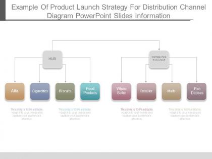 Example of product launch strategy for distribution channel diagram powerpoint slides information
