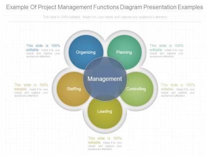Example of project management functions diagram presentation examples