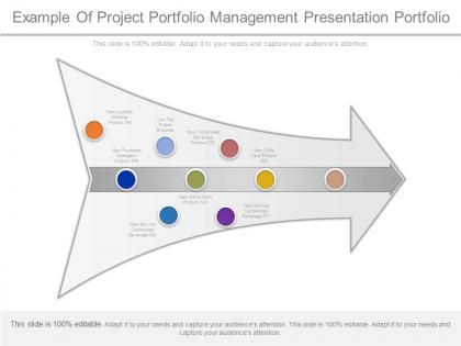 Example of project portfolio management presentation portfolio