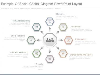 Example of social capital diagram powerpoint layout