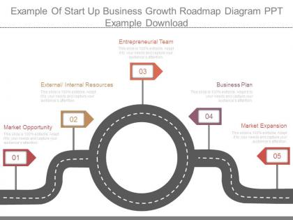 Example of start up business growth roadmap diagram ppt example download