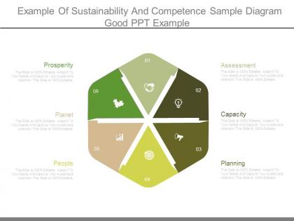 Example of sustainability and competence sample diagram good ppt example