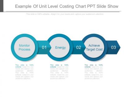 Example of unit level costing chart ppt slide show