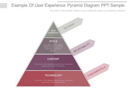 Example of user experience pyramid diagram ppt sample