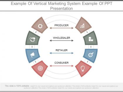 Example of vertical marketing system example of ppt presentation