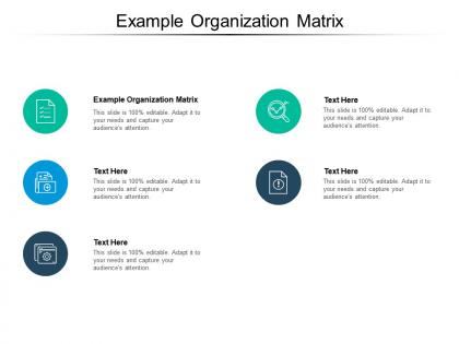 Example organization matrix ppt powerpoint presentation styles portfolio cpb
