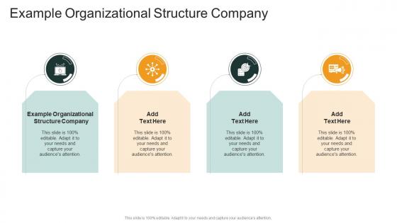 Example Organizational Structure Company In Powerpoint And Google Slides Cpb