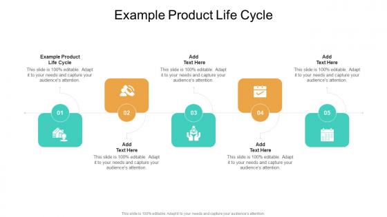 Example Product Life Cycle In Powerpoint And Google Slides Cpb