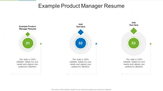 Example Product Manager Resume In Powerpoint And Google Slides Cpb