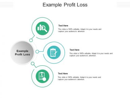 Example profit loss ppt powerpoint presentation professional good cpb