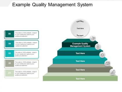 Example quality management system ppt powerpoint presentation layouts tips cpb