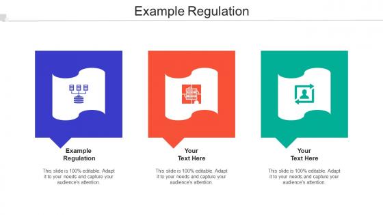 Example Regulation Ppt Powerpoint Presentation Icon Brochure Cpb