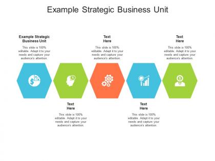 Example strategic business unit ppt powerpoint presentation visual aids example file cpb