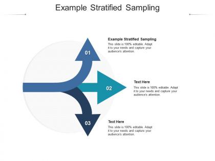 Example stratified sampling ppt powerpoint presentation summary icons cpb