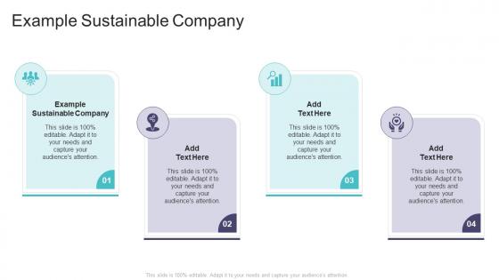 Example Sustainable Company In Powerpoint And Google Slides Cpb
