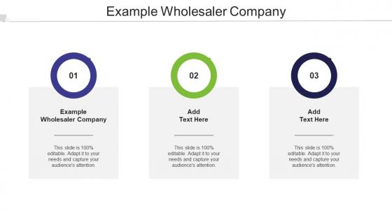 Example Wholesaler Company Ppt Powerpoint Presentation Portfolio Tips Cpb