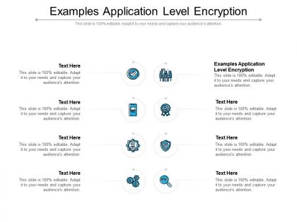 Examples application level encryption ppt powerpoint presentation gallery graphics download cpb