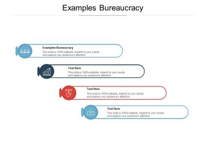 Examples bureaucracy ppt powerpoint presentation layouts microsoft cpb