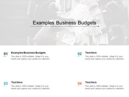 Examples business budgets ppt powerpoint presentation ideas themes cpb