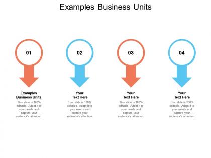 Examples business units ppt powerpoint presentation summary gallery cpb