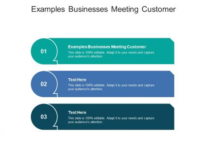 Examples businesses meeting customer ppt powerpoint presentation slides example introduction cpb