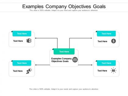 Examples company objectives goals ppt powerpoint presentation file outline cpb