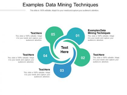 Examples data mining techniques ppt powerpoint presentation icon sample cpb