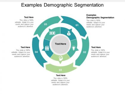 Examples demographic segmentation ppt powerpoint presentation icon cpb