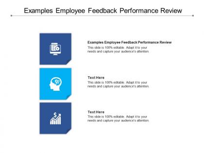 Examples employee feedback performance review ppt powerpoint presentation infographics aids cpb