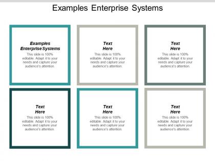 Examples enterprise systems ppt powerpoint presentation professional infographics cpb
