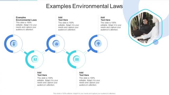 Examples Environmental Laws In Powerpoint And Google Slides Cpb