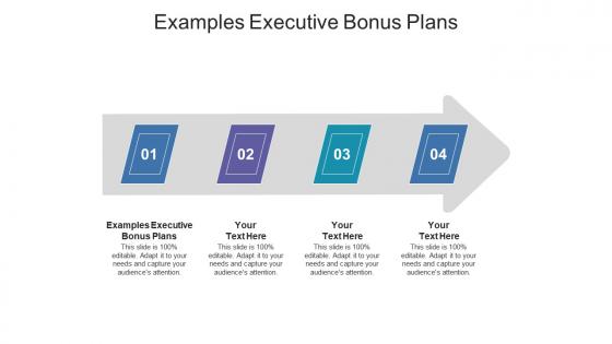 Examples executive bonus plans ppt powerpoint presentation ideas topics cpb