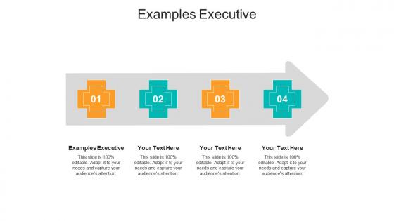 Examples executive ppt powerpoint presentation layouts cpb