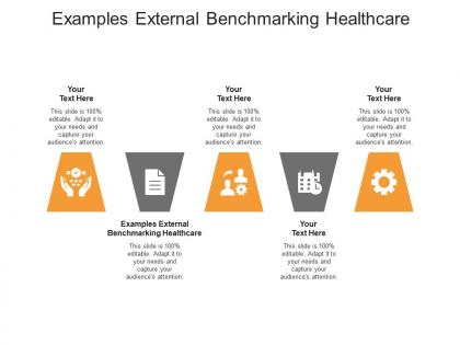 Examples external benchmarking healthcare ppt powerpoint presentation layouts deck cpb