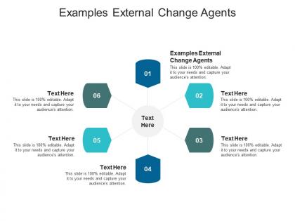 Examples external change agents ppt powerpoint presentation show visual aids cpb