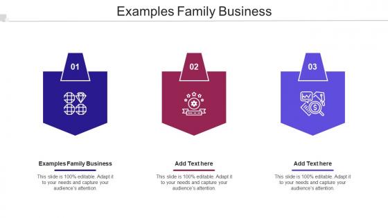 Examples Family Business Ppt Powerpoint Presentation Portfolio Brochure Cpb