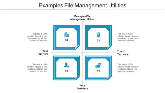 Examples file management utilities ppt powerpoint presentation slides visual aids cpb