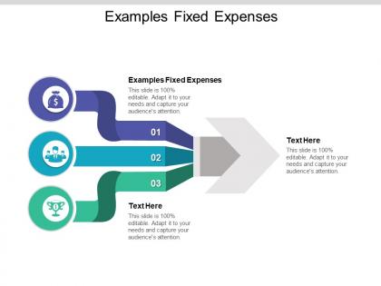 Examples fixed expenses ppt powerpoint presentation deck cpb