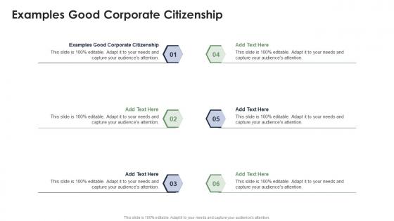 Examples Good Corporate Citizenship In Powerpoint And Google Slides Cpb