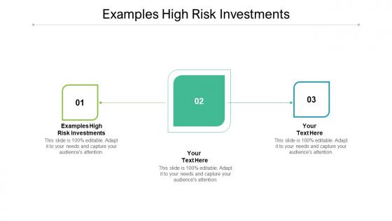 Examples High Risk Investments Ppt Powerpoint Presentation Model Backgrounds Cpb